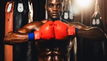 A Deep Dive into Alpha Lion Supplements