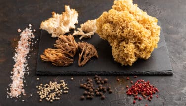The Benefits of Adaptogens: Nature’s Stress Busters